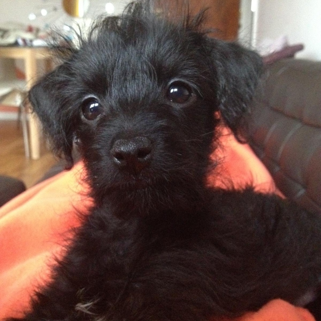 Mitzi